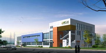 綠建居木石地板 融合自然與科技的建材新選擇